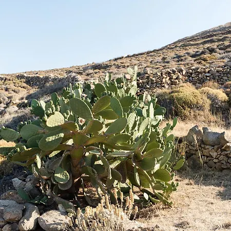 Seriphos Estate * Agios Ioannis (Serifos)